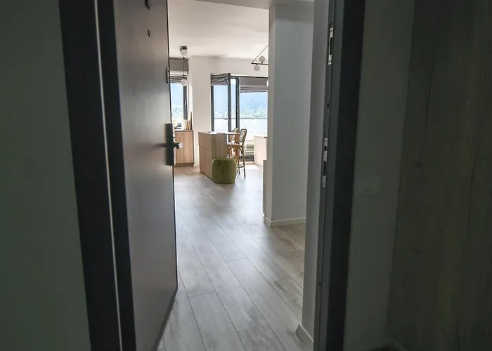 Forest View Hideaway 布拉索夫