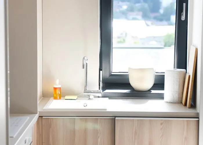 公寓 Forest View Hideaway 布拉索夫